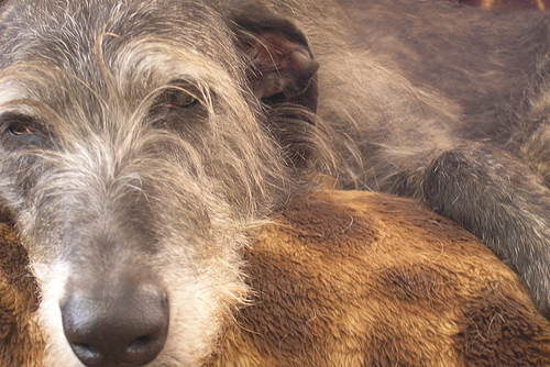 1090892719_02af1c331d