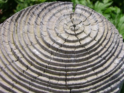 來源：http://blog.udn.com/blueesther/1148642