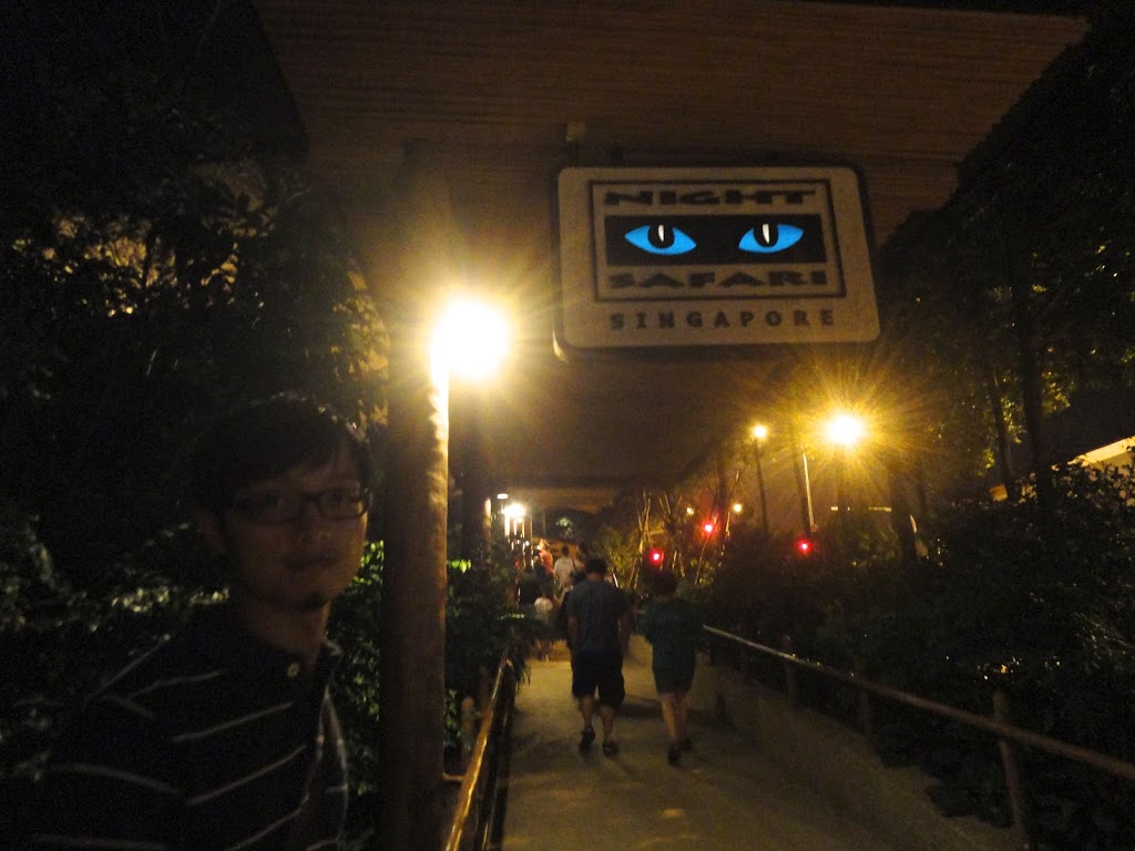 夜間動物園（Night Safari） 後來買了一個跟照片中看版一樣的紀念品磁鐵，不過磁性超弱！