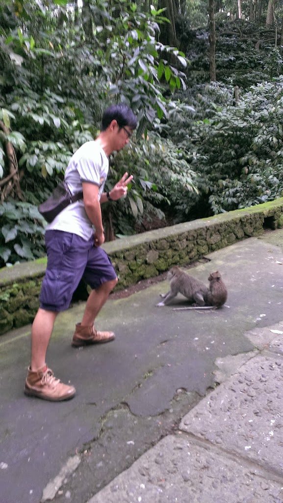 烏布附近的聖猴森林。猴子太白目,應降級稱為猴子森林就好。