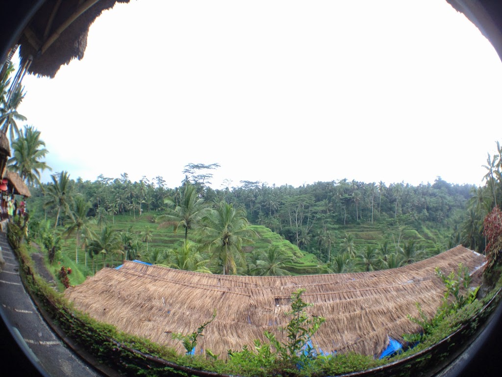 本日可 highlight 的點太多,就給待不到 30 分鐘(半杯也沒喝)的 Tegallalang 梯田下午茶。「Tegallalang」怎麼念?就「塔尬拉懶」。